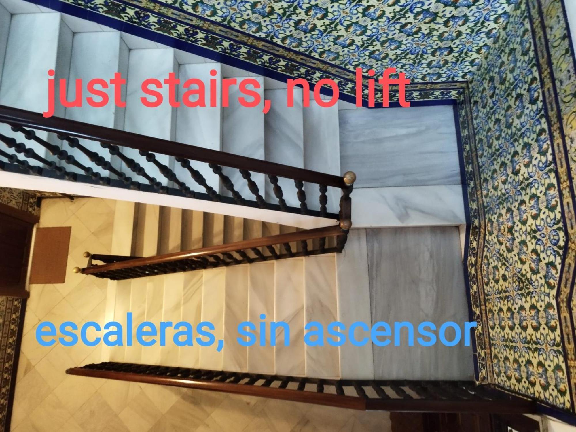 Stunning Boutique - Space Maison Apartments Sevilla Dış mekan fotoğraf